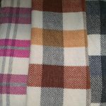 Hússtjórnarskólinn í Reykjavík