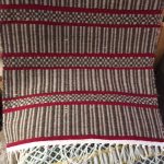 Hússtjórnarskólinn í Reykjavík