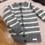 Hússtjórnarskólinn í Reykjavík