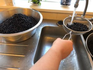 Hússtjórnarskólinn í Reykjavík