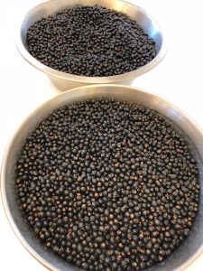 Hússtjórnarskólinn í Reykjavík