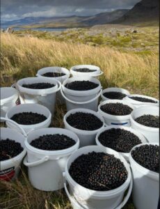 Hússtjórnarskólinn í Reykjavík