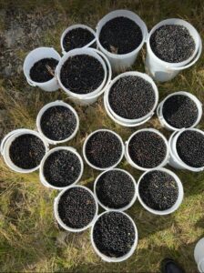 Hússtjórnarskólinn í Reykjavík